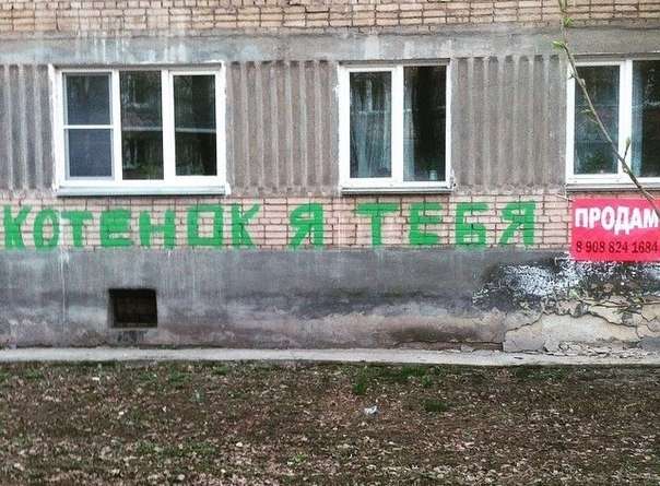 Смешные картинки с надписями