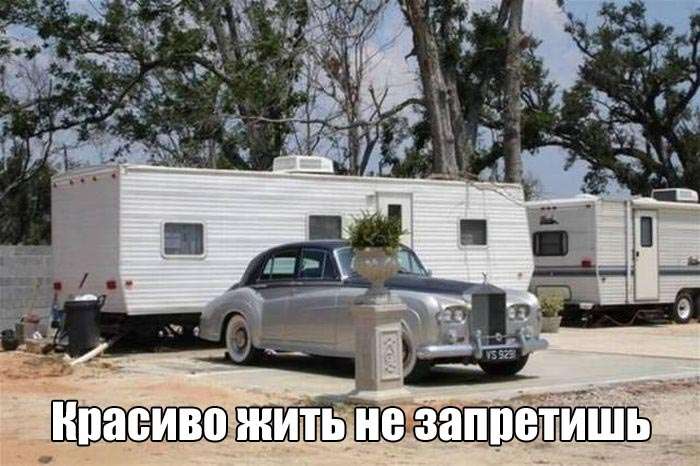Фото приколы на злобу дня