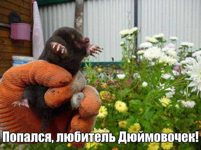 Юмористичные фотографии