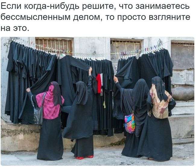 Веселые картинки