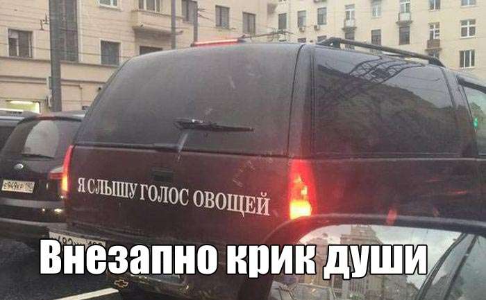 Фотографии с приколами