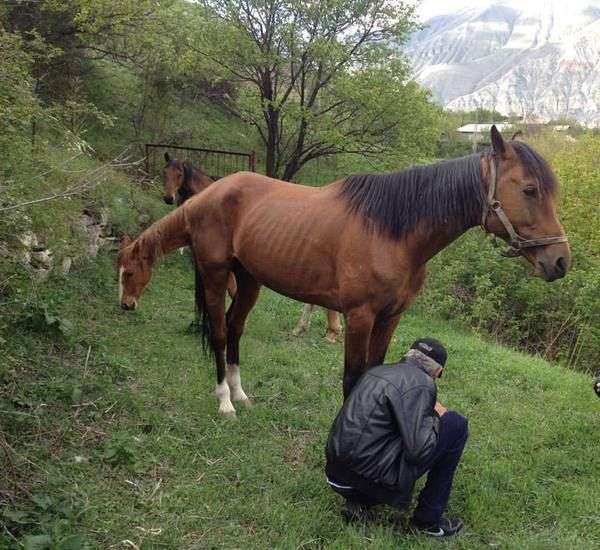 Фотоприколы на злобу дня