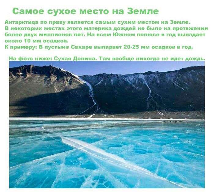 10 интересных фактов о Антарктиде