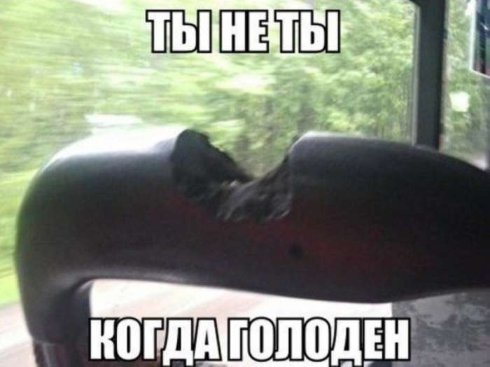 Картинки с подписями