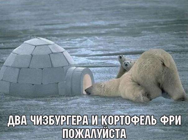 Картинки с надписями
