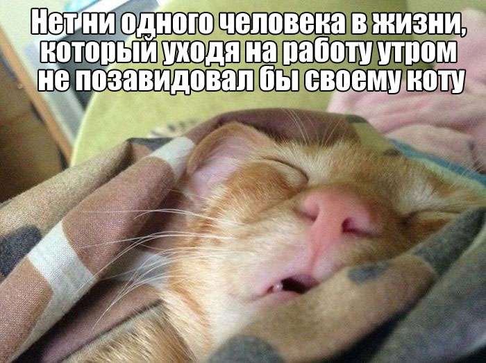 Забавные фото приколы