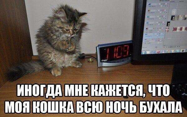Убойные приколы из социальных сетей