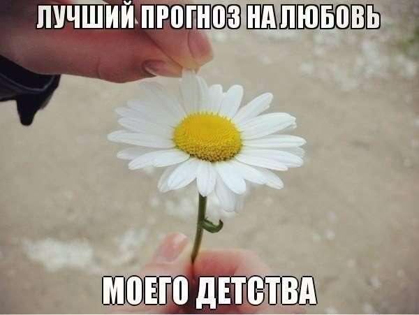 Забавные приколы