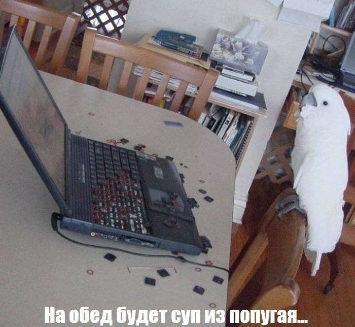 Прикольная фотоподборка