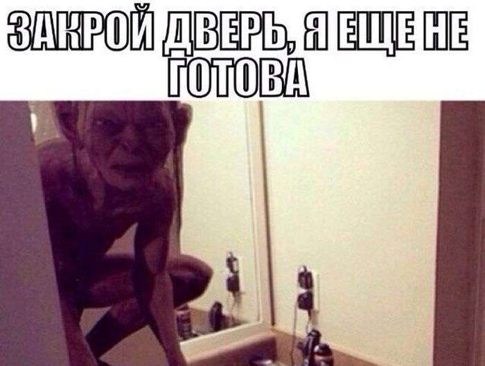 Юмористичные снимки