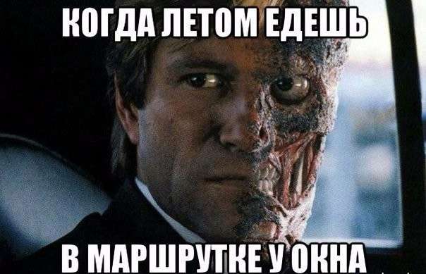 Смешные картинки