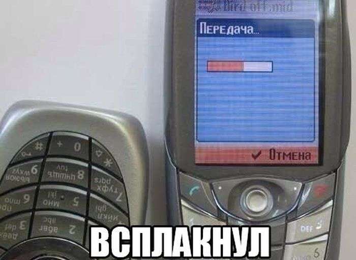 Фото приколы