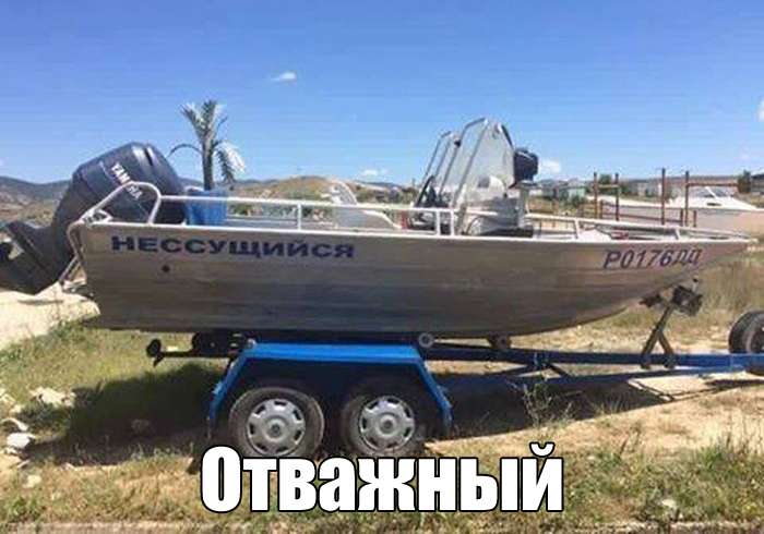 Прикольные фотки