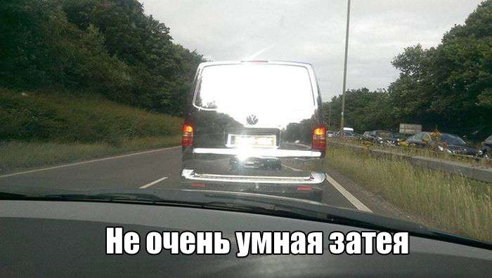 Веселые фото