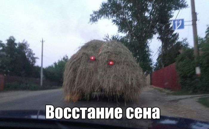 Веселые снимки