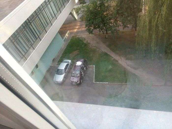 Автоместь в Гомеле