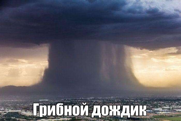 Юмор в фотографиях