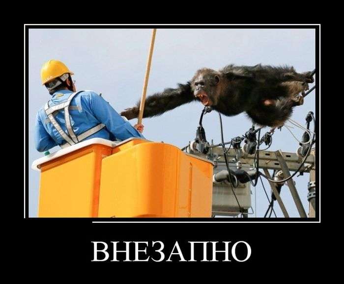 Демотиваторы