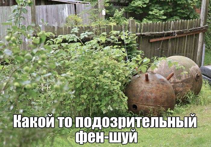 Улыбательные фото