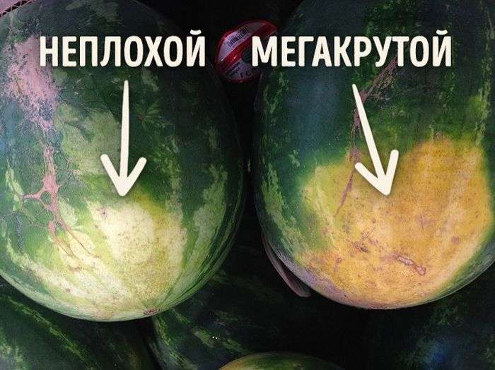 Как правильно выбрать хороший арбуз
