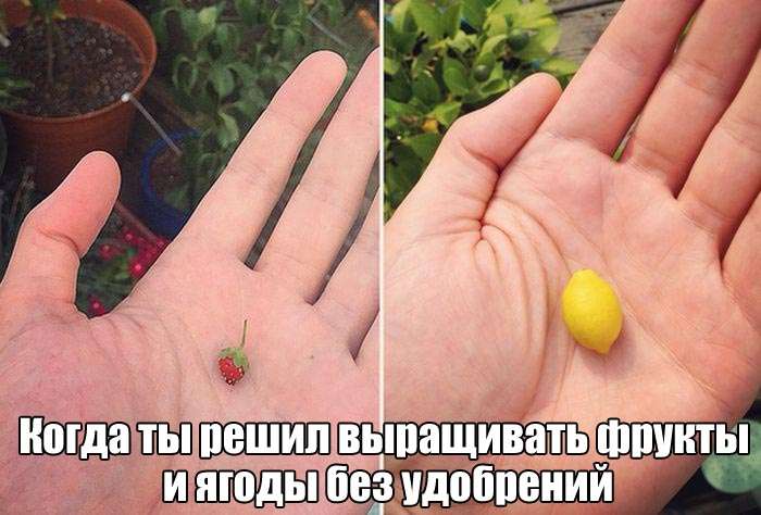 Забавные снимки