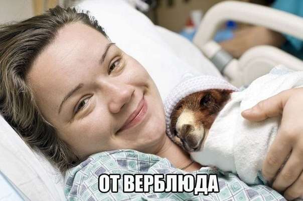 Картинки с надписями