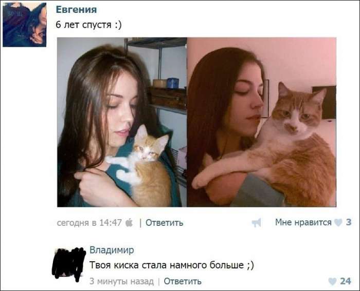Смешные комментарии