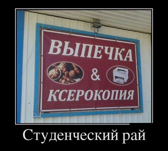 Демотиваторы