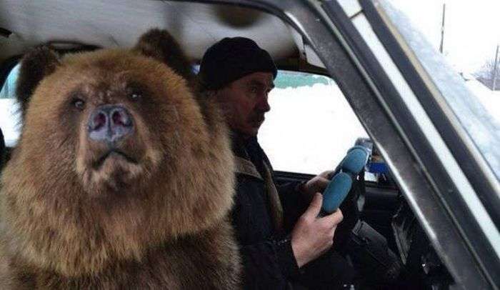 Снимки из России