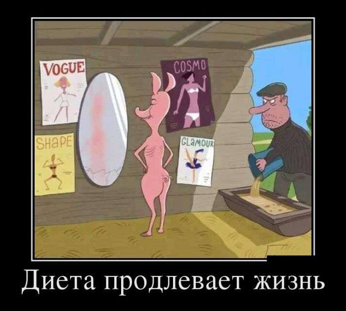 Демотиваторы