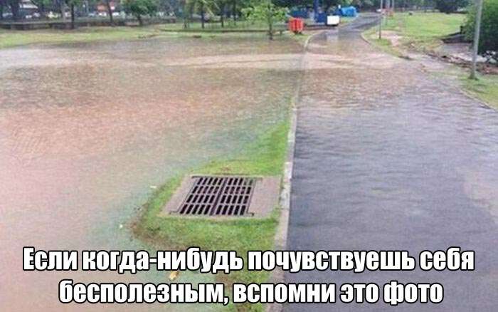 Веселые картинки и мега прикольные фото