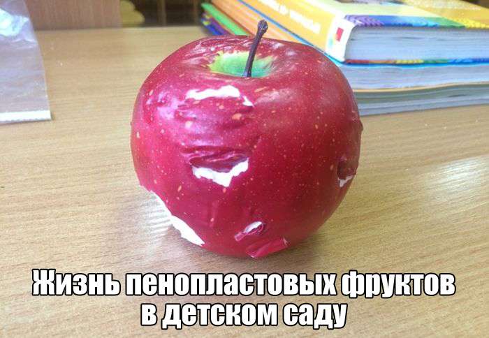 Подборка самых лучших и смешных фото