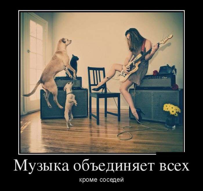 Демотиваторы