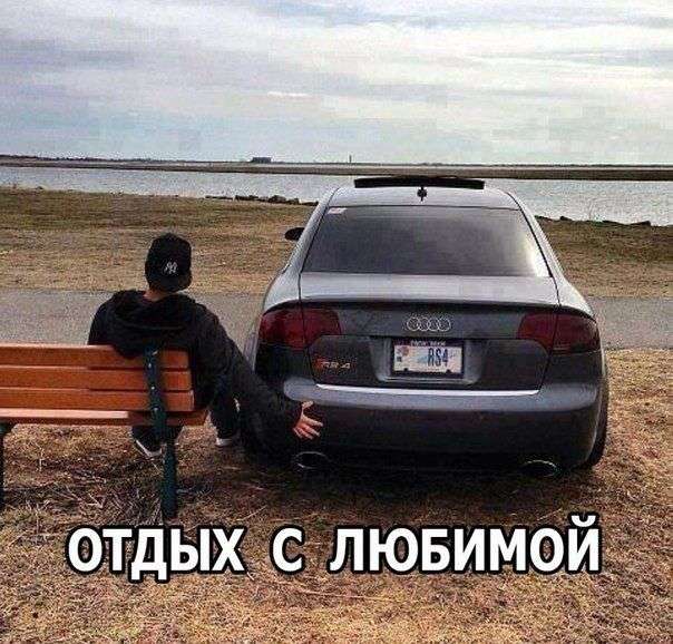 Большая подборка самых лучших и смешных фото