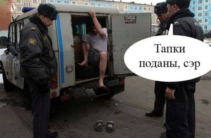 Большая подборка самых лучших и смешных фото