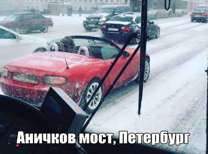 Большая подборка самых лучших и смешных фото