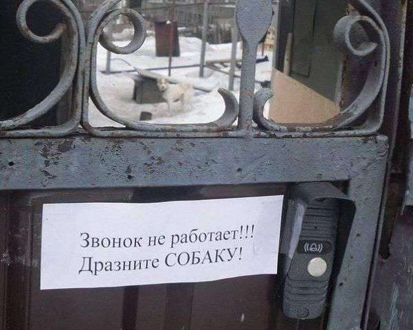 Объявления для соседей