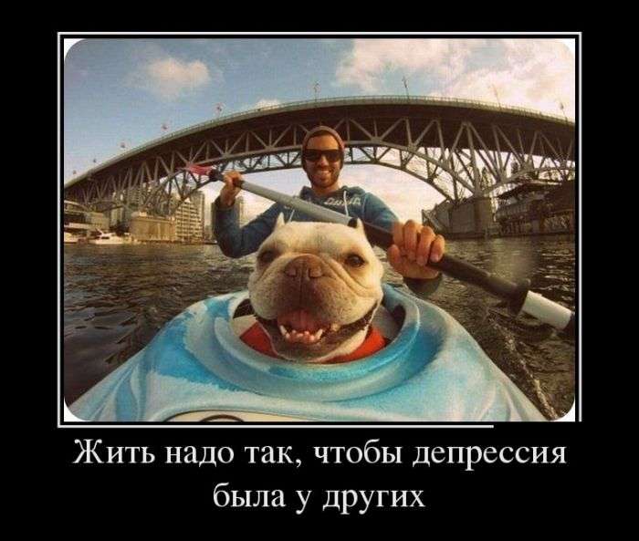 Демотиваторы
