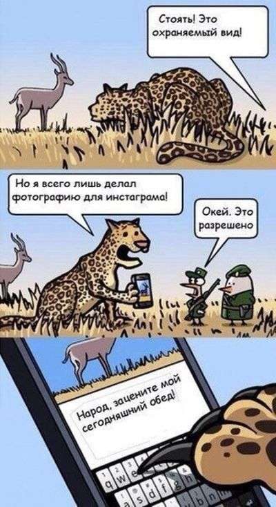 Смешные комиксы