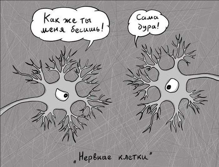 Буквальные приколы