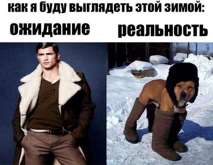 Веселая подборка фотоприколов и просто классных фото