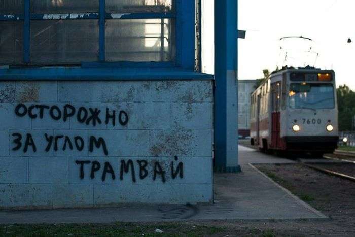 Подборка самых лучших и смешных фото