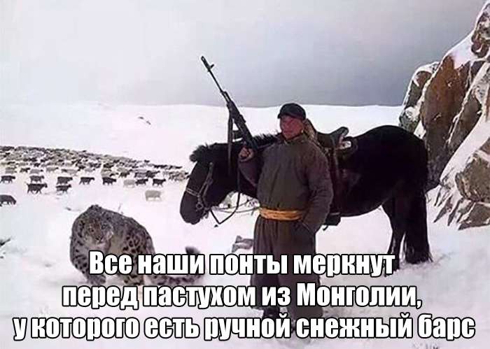 Веселая подборка фотоприколов и позитивных фото