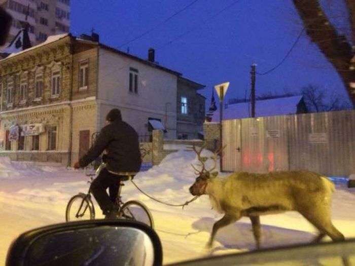 Странные фотографии