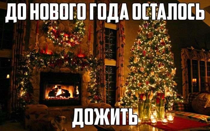 Прикольные, позитивные и просто красивые фотографии