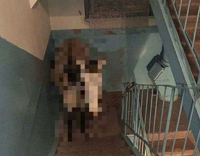 Конь в подъезде