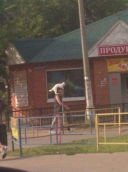 Такое бывает только в России