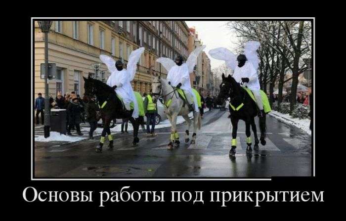 Демотиваторы