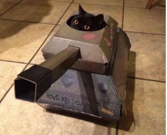 Крутые игрушки для котов