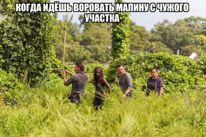 Красивые, позитивные картинки и фотографии с приколами